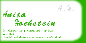 anita hochstein business card